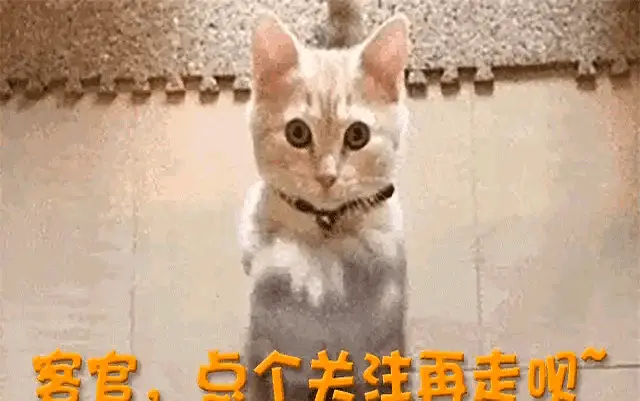 续关注这项, img 续关注这项, img