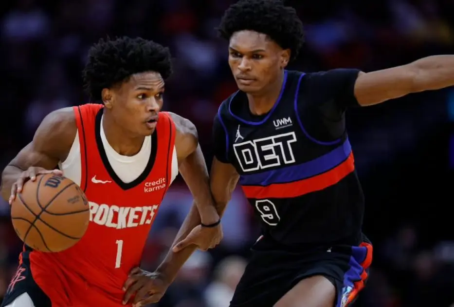 entit, msn entit, msn